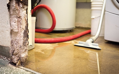 A vacuum sucking up water that has leaked in a basement