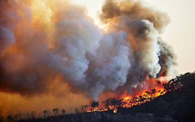 Wildfire smoke