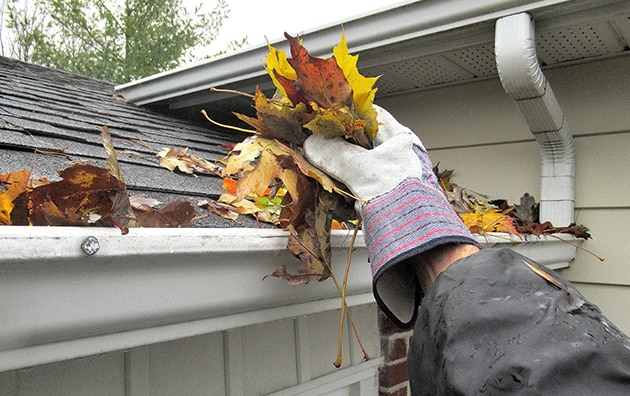 Person cleaning home gutters