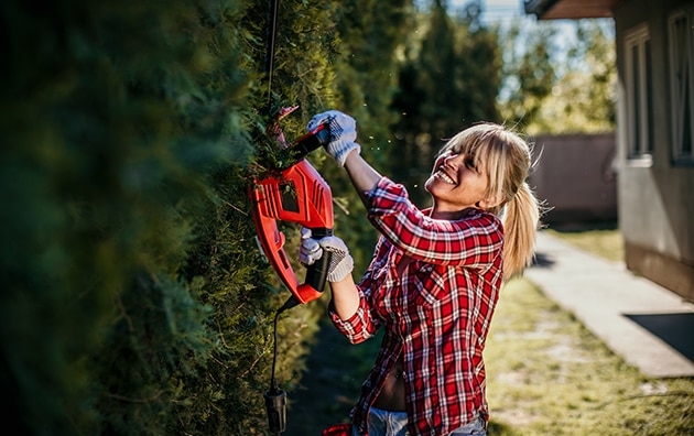 Person trimming outdoor hedges 